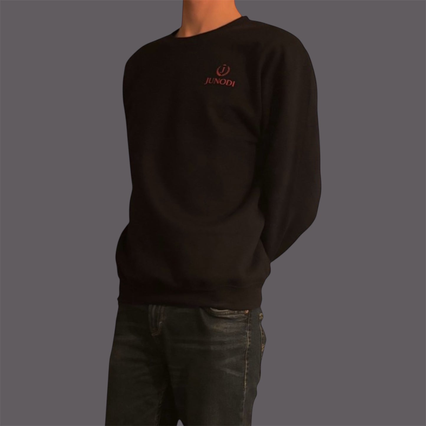 Junodi shadow crewneck