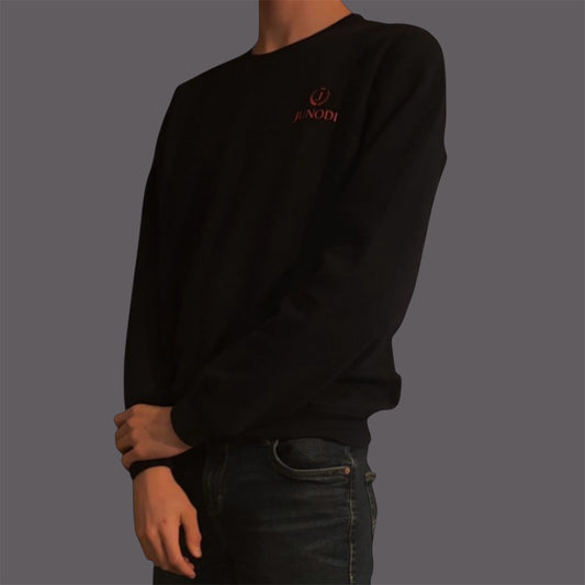 Junodi shadow crewneck