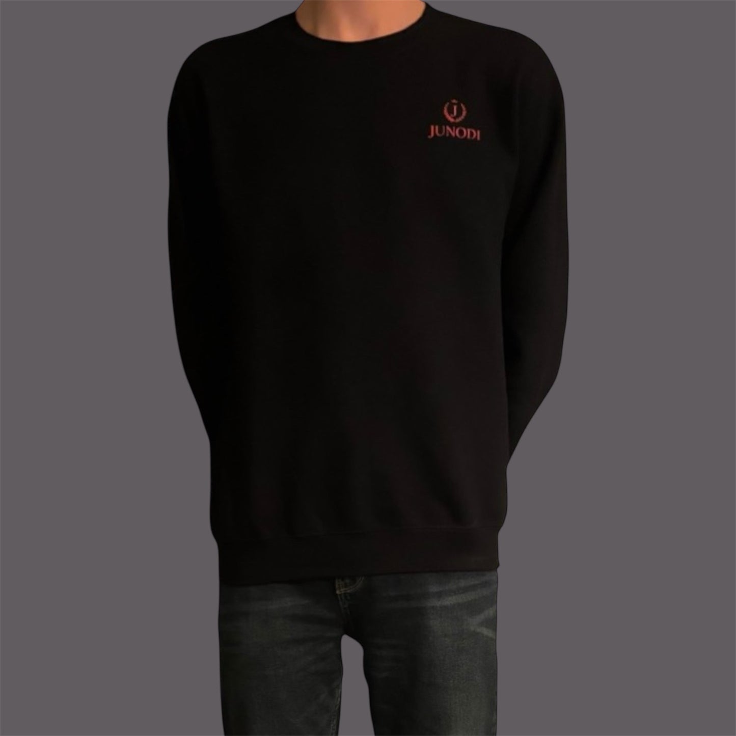 Junodi shadow crewneck